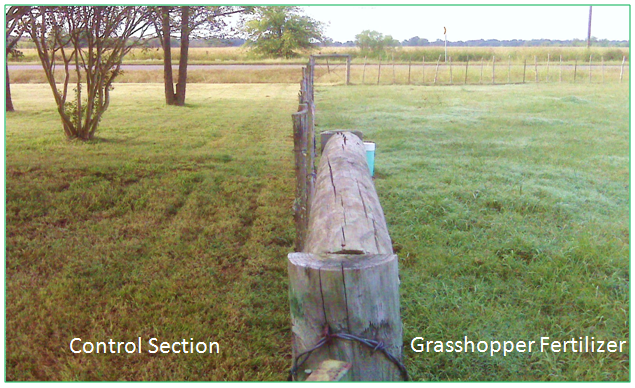 image1 Control Section Grasshopper Fertilizer