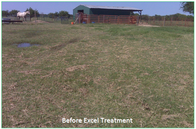 image3 Before Excel Treatment