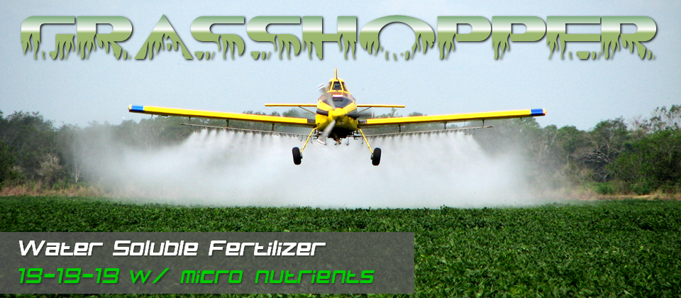 Grasshopper 19-19-19